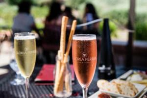 CBA,中国篮球的璀璨明珠中国三大篮球联赛之一